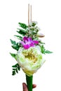 Suay Dok or Cone-shaped floral receptacle Royalty Free Stock Photo
