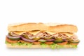 Sub sandwich Royalty Free Stock Photo