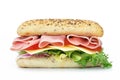Sub sandwich Royalty Free Stock Photo