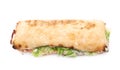 Sub sandwich isolated Royalty Free Stock Photo