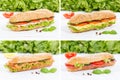 Sub sandwiches collage whole grain with ham cheese salami fish o Royalty Free Stock Photo