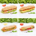 Sub sandwiches collage whole grain with ham cheese salami fish s