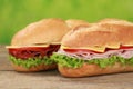 Sub Sandwiches with salami and ham Royalty Free Stock Photo