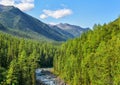 Subalpine coniferous taiga in Siberian mountains