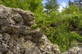 Spring, awakening in nature, mountainous terrain and blue sky, flowers and trees in their natural habitat, the period of mass flow