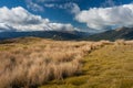 Subalpine pastures in Nelson Lakes National Park Royalty Free Stock Photo