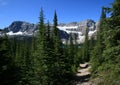 Subalpine Trail and Crowfoot Mountain