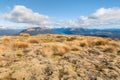 Subalpine vegetation growing on hill in Nelson Lakes National Park, New Zealand Royalty Free Stock Photo