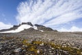 Subantarctic landscape