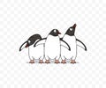 Subantarctic penguin or gentoo penguins, graphic design Royalty Free Stock Photo