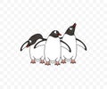 Subantarctic penguin or gentoo penguins, graphic design Royalty Free Stock Photo