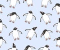 Subantarctic penguin or gentoo penguins, seamless vector background and pattern Royalty Free Stock Photo