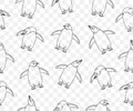 Subantarctic penguin or gentoo penguins, seamless vector background and pattern