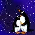 Subantarctic a penguin papuan couple on the star sky Vector