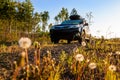 Subaru Forester with roof box at dirt road in the forest