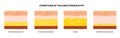 Subcutaneous fat level