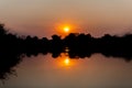 Subdown at the okawango delta in Botswana Royalty Free Stock Photo