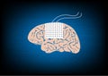 Subdural electrode for brain waves monitoring in epilepsy surgery