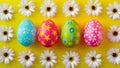 Subject Colorful Easter eggs with spring flowers, top view background Royalty Free Stock Photo