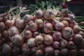 Subject Fresh bunch of shallots, culinary ingredient in market display Royalty Free Stock Photo