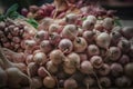 Subject Fresh bunch of shallots, culinary ingredient in market display Royalty Free Stock Photo