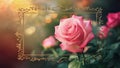 Subject Vintage background with soft bokeh, pink rose flower frame Royalty Free Stock Photo