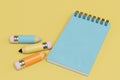 subjects required for learning. colored pencils and notepad on a yellow background. 3d render