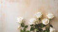 Sublime Simplicity: White Roses on Chalk Background with Logo Space