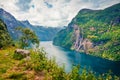 Sublime summer scene of Sunnylvsfjorden fjord, Geiranger village location, western Norway. Beautiful morning view of famous Seven Royalty Free Stock Photo