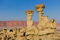 The Submarine, in Ischigualasto, Argentina Royalty Free Stock Photo