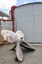 Submarine Propeller: Rusted Details Royalty Free Stock Photo