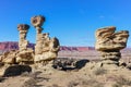 The Submarine rock formation in the Ischigualasto National Park, Argentina Royalty Free Stock Photo