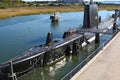 Submarine USS Clamagore , Charleston, USA