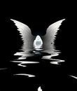 Submerged Angel Royalty Free Stock Photo