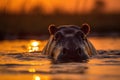 Submerged Hippopotamus in Golden Sunset Light. Generative AI Royalty Free Stock Photo