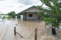 Submerged by the mud of the flood after the flooding of the River