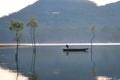 Flooded forest reflection on the lake with boatman in magic light part 33