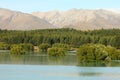 Submerged trees at Lake Tekapo