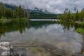 Submerged Trees Under Smooth Water Royalty Free Stock Photo