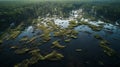 Submerged Woodland Serenity: Aerial Vision of Tranquil Flooded Forest