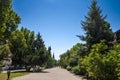 SUBOTICA, SERBIA - JULY 16, 2022: Panorama of the Aleja Marsala Tita pedestrian street during a summer sunny afternoon. Marshall