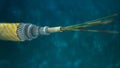 Subsea communication cable