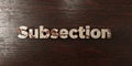 Subsection - grungy wooden headline on Maple - 3D rendered royalty free stock image Royalty Free Stock Photo