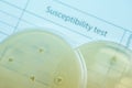 Subsensitivity test on Muler plate contains small light grains.