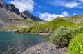 Subshrub grows on fragments of rocks on shore Royalty Free Stock Photo