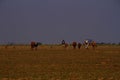 Subsistence farming in South Africa Royalty Free Stock Photo