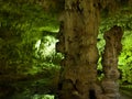 Subterranean cenote in Mexico