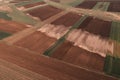 Subterranean groundwater flooding crops in cultivated fields, aerial view