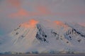 Subtle alpenglow lights snowy mountain