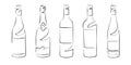 Different wine bottles, set - vector drawing